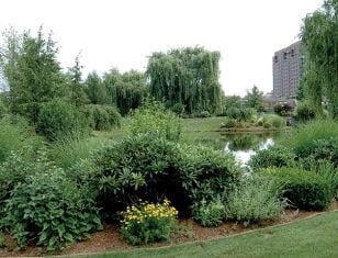 Private park at Park Place Towers in Hartford